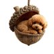 thumbnail image 1 of Adorno navideño de animales del bosque para árbol | Decoración de criaturas del bosque | Decoración navideña colgante para árbol, corona, guirnalda o centro de mesa | Detalle festivo para el hogar, 1 of 7