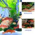 thumbnail image 4 of ColoMX 10 piezas de adornos de peces Koi de plástico realistas, figuras de peces dorados en miniatura para exhibición de mesa y estantería, peces artificiales para acuario, 4 of 7