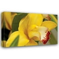thumbnail image 1 of Dana Styber 18x13 Gallery Wrapped Canvas Wall Art Titled - Lemon Orchid I, 1 of 4