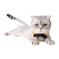 thumbnail image 5 of Pajarita para perro con cuello de esmoquin ajustable, pajarita para disfraz de mascota adecuada para perros y gatos, 5 of 5