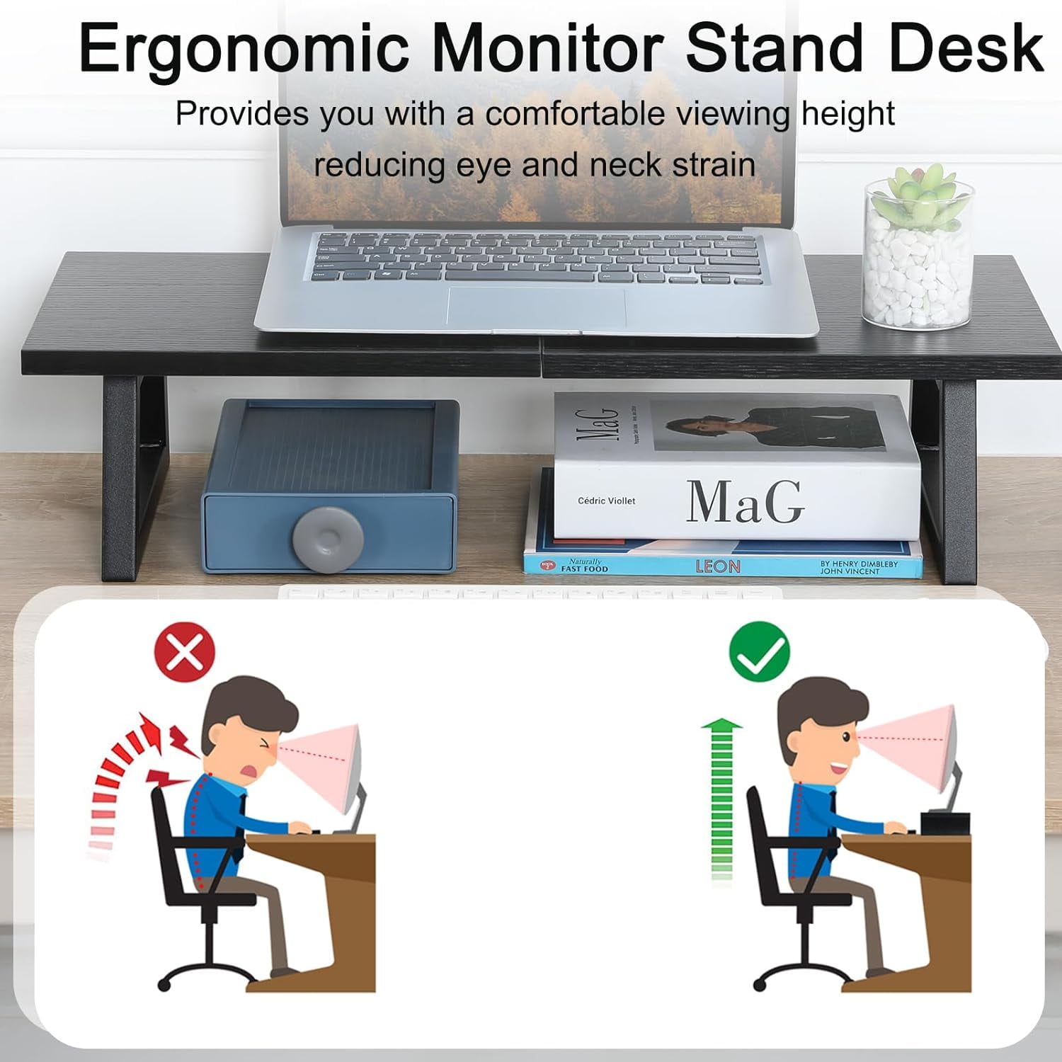 24 inch Monitor Stand Riser, Black Wood & Steel Computer Monitor Stand with Storage, Laptop, PC, Printer Stand Riser for Desktop Office Desk Organizers