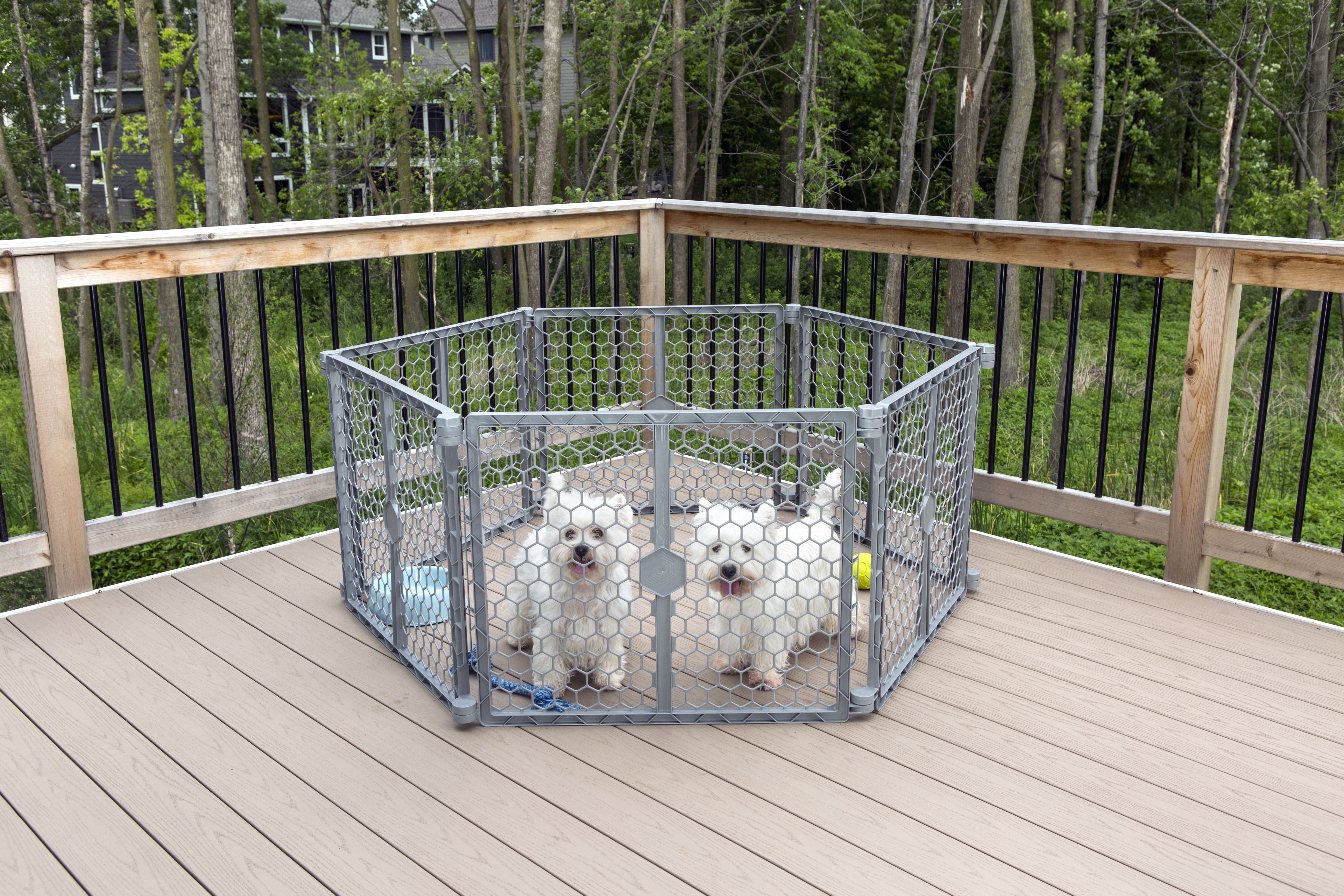 Carlson 2 in 1 sale pet gate and pen