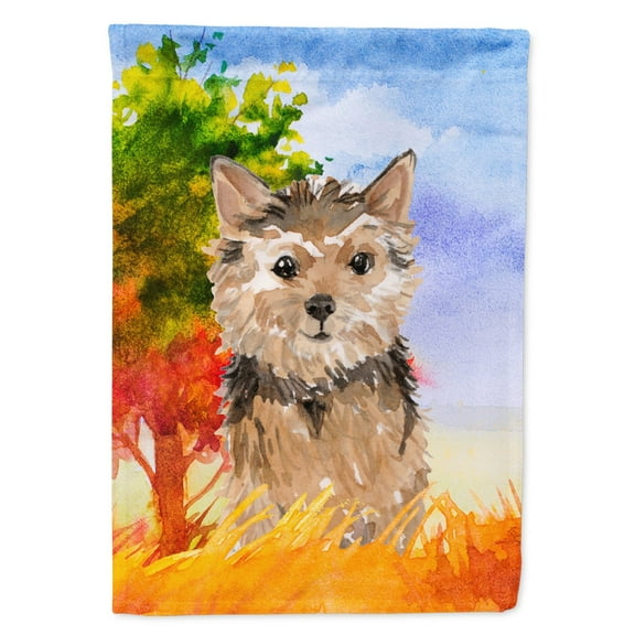 Carolines Treasures CK1936GF Fall Norwich Terrier Flag Garden Size  Small multicolor
