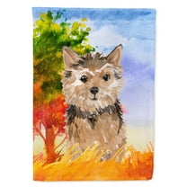 Carolines Treasures CK1936GF Fall Norwich Terrier Flag Garden Size Small multicolor