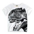 thumbnail image 1 of Chandails pour Tout-Petits Garçons en Coton à Imprimé, Manches Longues, Chandail à Col Rond, Hauts, T-Shirts, Gris, 6T, 1 of 4