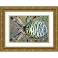 thumbnail image 1 of Ghizzi Panizza, Alberto 14x11 Gold Ornate Wood Framed with Double Matting Museum Art Print Titled - The mirror of the spider, 1 of 4