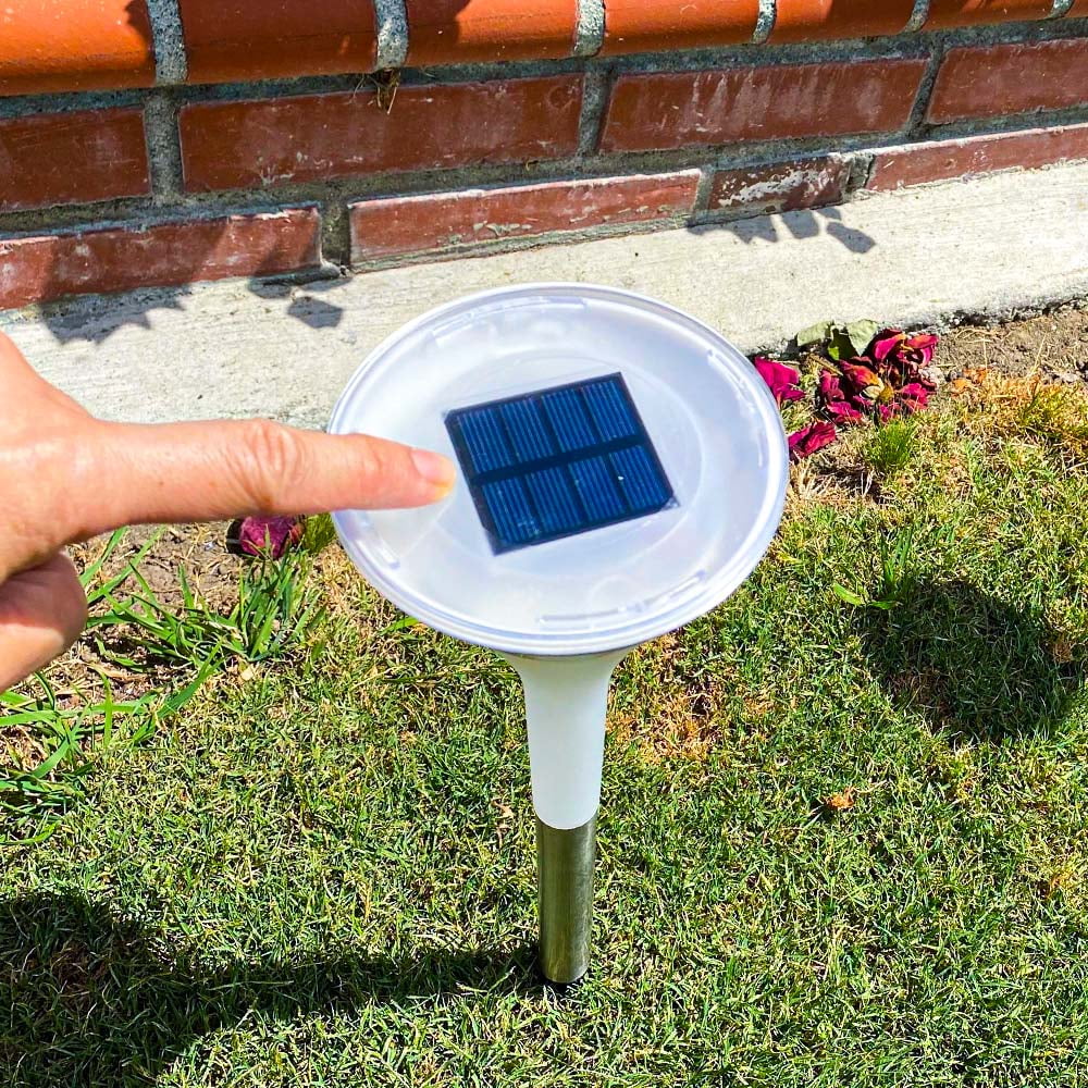 Brightology Lumaverse Solar Powered Multi Colored Flare Stake Lights Colorful Landscape Lighting For Patios Pathways And Lawns Weather Resistant Auto On And Off Pack Of 4 Walmart Com Walmart Com