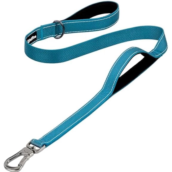 Eryueer 4FT Heavy Duty Dog Leash with Soft Padded Double Handle, Durable Strong Clasp Dog Leashes, Reflective Nylon Walking Lead for Large,Medium,Small Breed Dogs, Blue