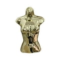 thumbnail image 1 of Runquan Female Mannequin Torso Body Manikin for Fitting Styling Clothes Shows Retail Gold, 1 of 8