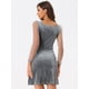thumbnail image 4 of Disfraz de navidad Minivestido Corto De Malla Transparente De Manga Larga Con Cuello Cuadrado De Terciopelo Y Estrella Brillante Para Mujer Gris L, 4 of 6