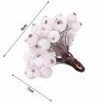 View all media