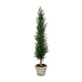 thumbnail image 1 of Vickerman FG190148 48 in. Potted Cedar Tree with Paper Pot, 1 of 1