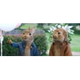 thumbnail image 5 of Peter Rabbit 2: The Runaway (Blu-Ray/DVd + Digital Sony Pictures), 5 of 5