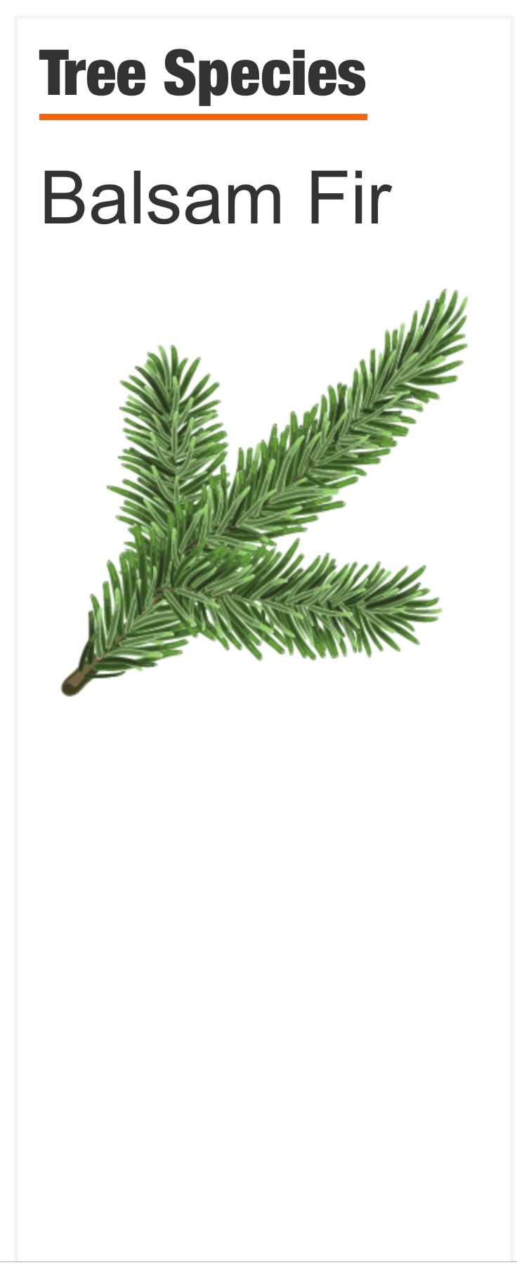 7.5 ft. Pre-Lit LED Grand Duchess Twinkling Balsam Fir Artificial Christmas Tree Viral