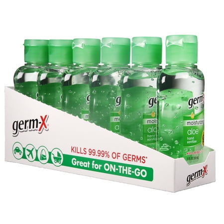 (Pack of 6) Germ-X Moisturizing Hand Sanitizer, Aloe, 3 (Best Moisturizing Hand Sanitizer)
