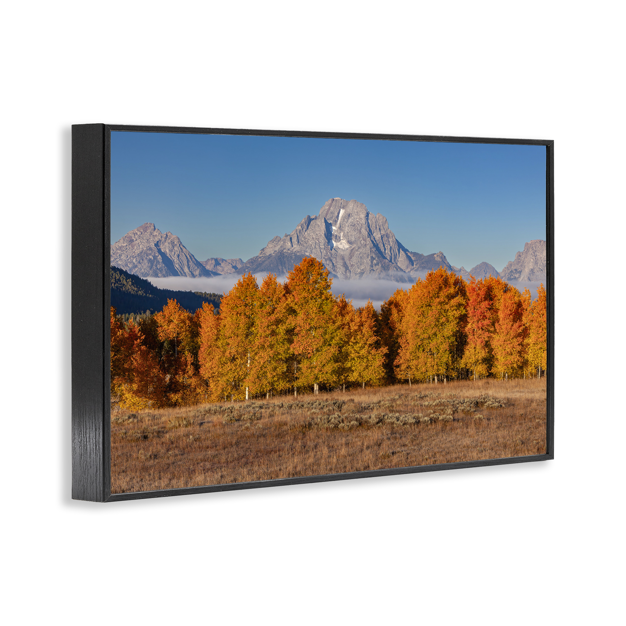 Autumn Tree Line With Mountain Black Framed Giclee Art, design by Shelley Carlisle