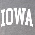 thumbnail image 5 of Wild Bobby State of Iowa College Style Men Premium Tri Blend Tee, 5 of 5