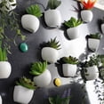 thumbnail image 4 of Succulent Shape Refrigerator Magnets Removable Plastic No Scratch Whiteboard Magnets Kitchen Decor, 4 of 8