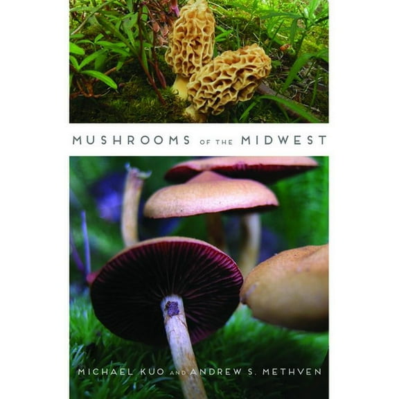 Mushrooms of the Midwest, (Paperback)
