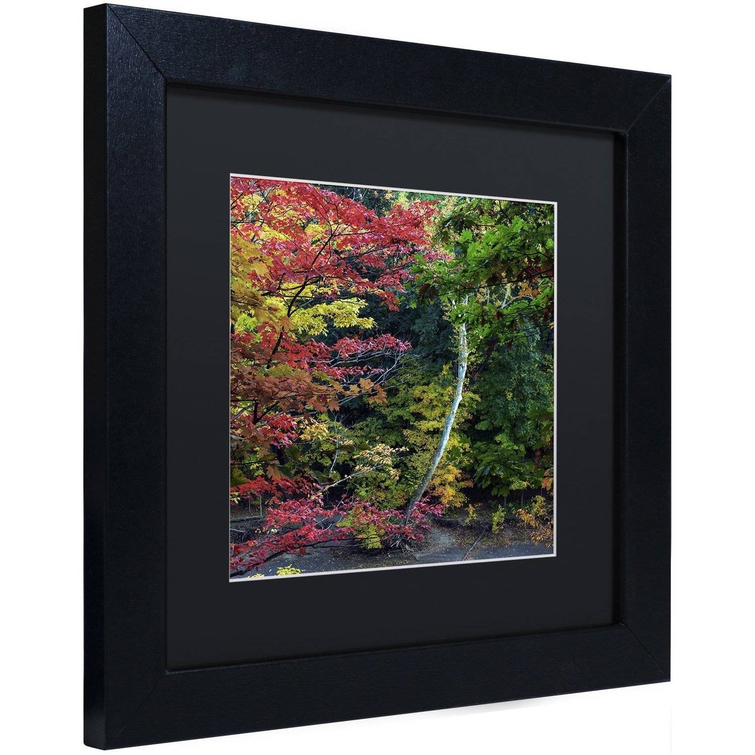 Trademark Fine Art "All the Colors of October in Ohio" Canvas Art by Kurt Shaffer, Black Matte, Black Frame