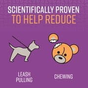 SENTRY Stop That!® Behavior Correction Spray for Dogs, 1 oz