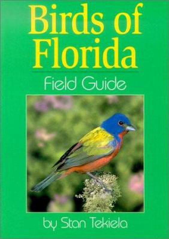 Florida Lighthouses Illustrated Map Guide Walmart Com 1676c1cf C77e 4b86 A6a1 D72a6db40c9c.277b14e63aefca89bc80e1d4033b6fe1