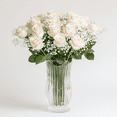 thumbnail image 2 of Two Dozen White Roses with Baby's breath and Green- Fresh Flower Delivery, 2 of 6