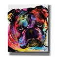 thumbnail image 1 of Epic Graffiti 'Bulldog' by Dean Russo, Giclee Canvas Wall Art, 26"x30", 1 of 2