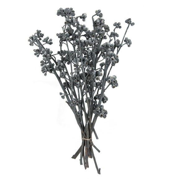 Vickerman Natural Botanicals 13" x 1-3" Red Gum Branch Gray Frosted, 14 stems per unit