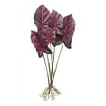 thumbnail image 2 of Caladium Plant (Set of 12) 22.25"H Polyester, 2 of 2