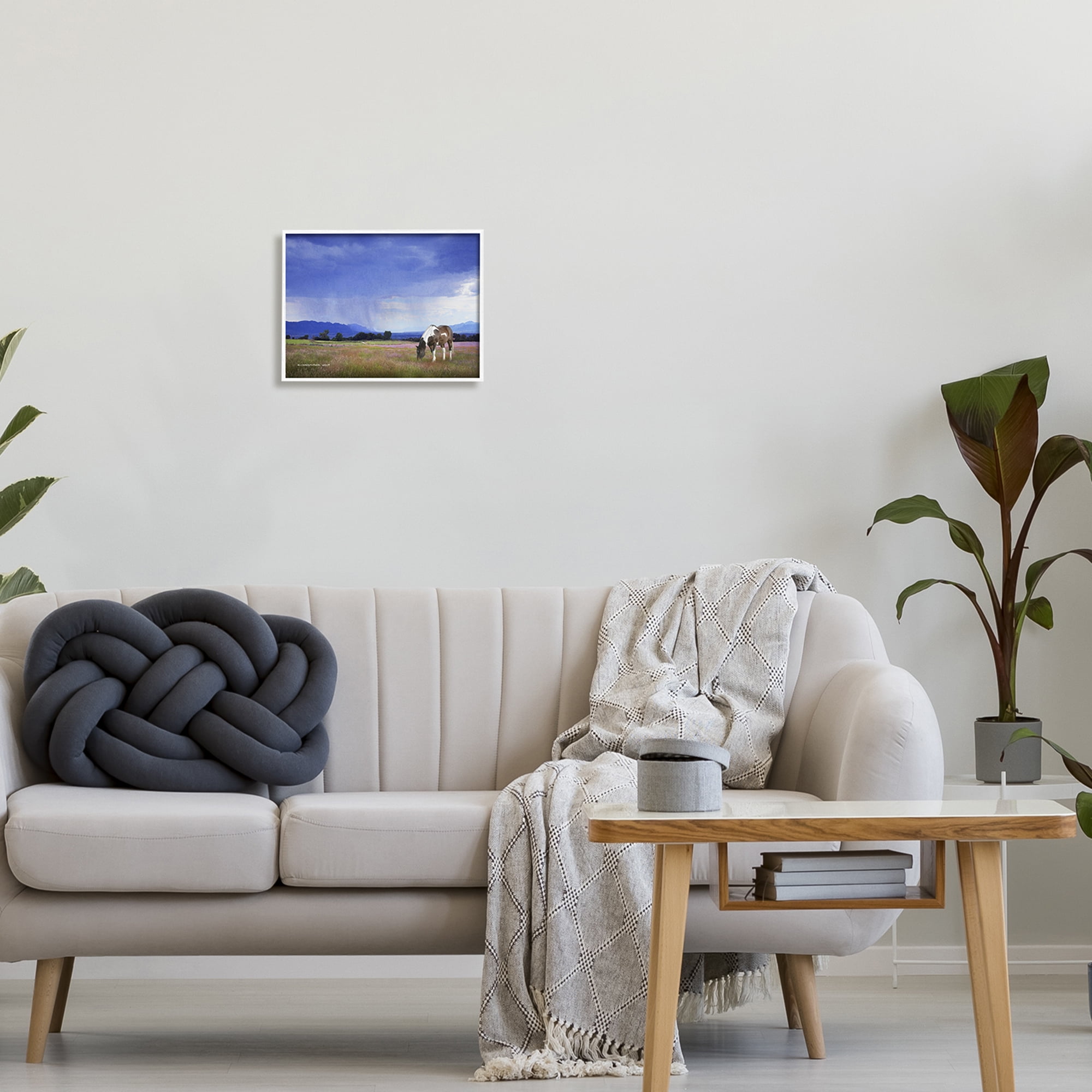 Stupell Spotted Horse Grazing Country Grassland Animals & Insects Photography White Framed Art Print Wall Art