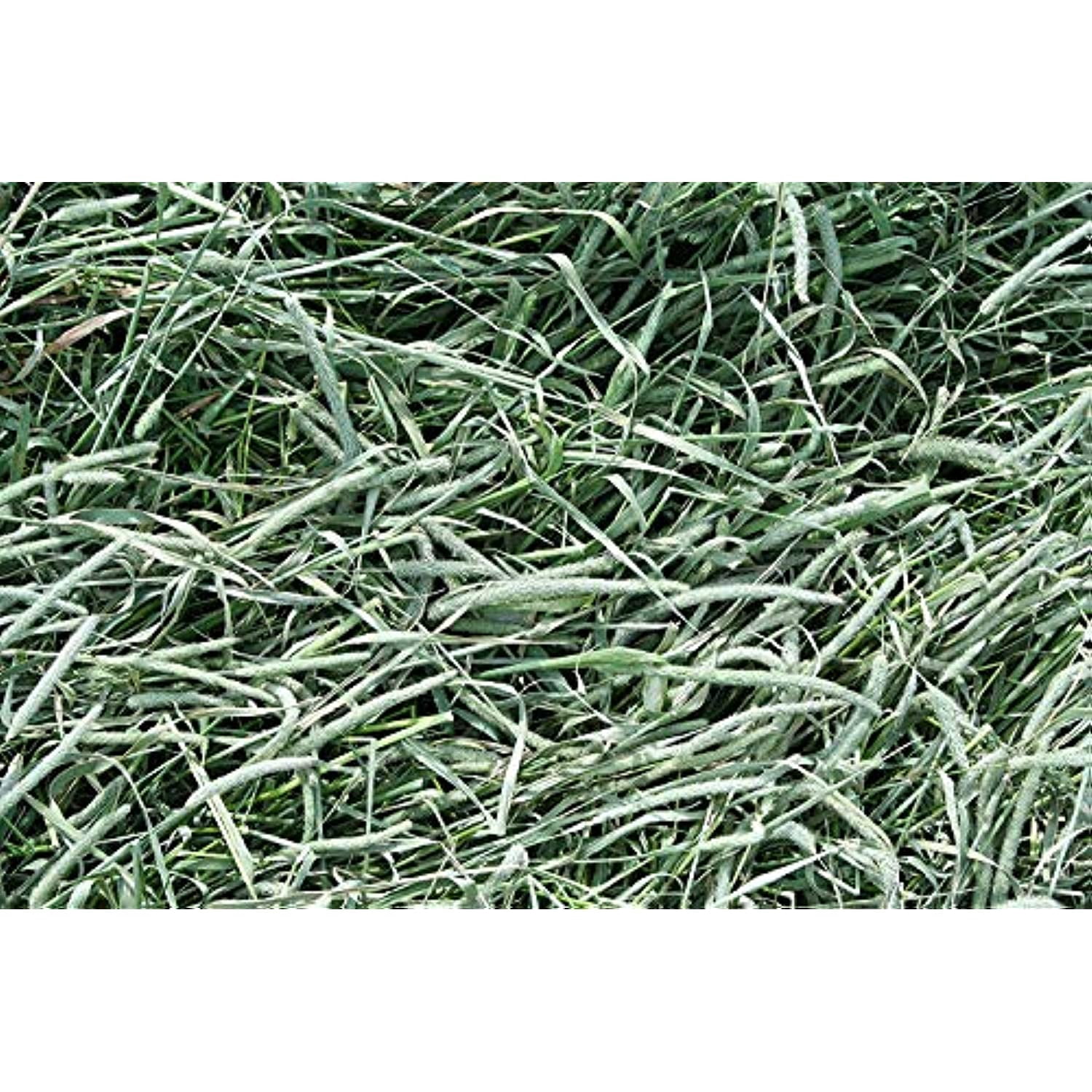 Standlee Premium Products Western Timothy, Small Animal Hay, 18oz Bag