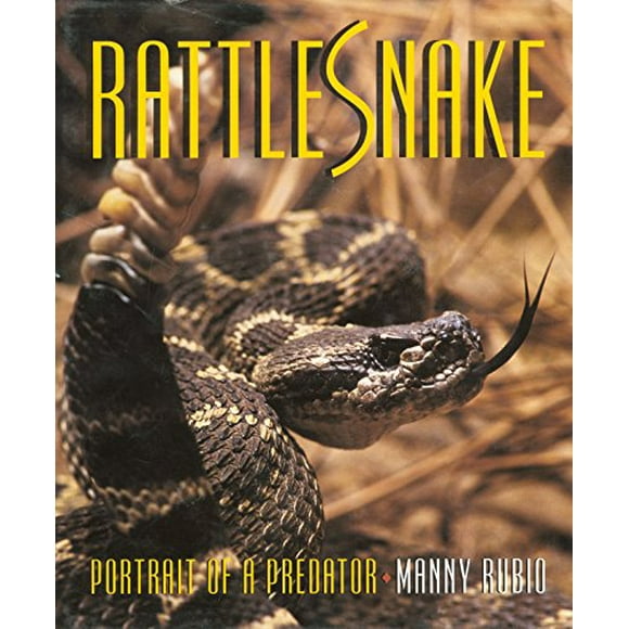 Rattlesnake - Portrait of a Predator