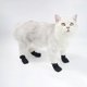 thumbnail image 3 of 4 fundas protectoras para garras de gato, de malla transpirable., 3 of 5