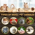 thumbnail image 5 of 10 Pack Guinea Toys Set, Natural Wooden Hamster Accessories Care Molar Toys for Syrian Hamster Rats Chinchillas Gerbils, 5 of 8