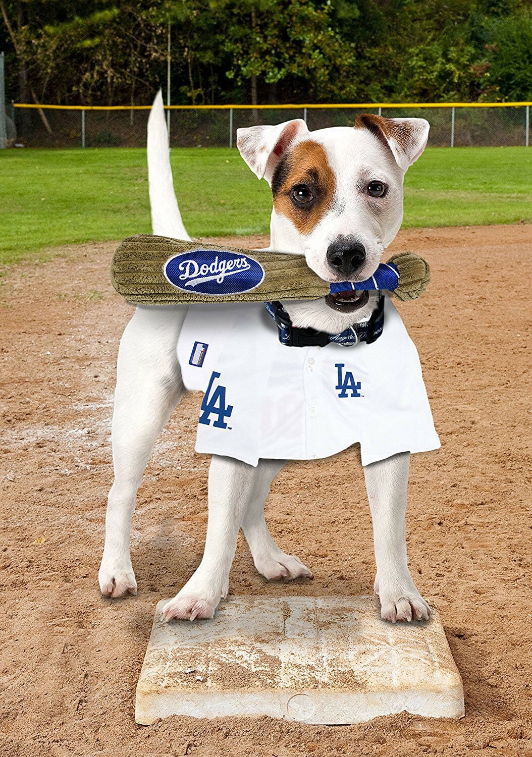 Pets First MLB Los Angeles Dodgers BAT TOY for DOGS & CATS. 29 MLB Teams available. - Plush PET TOY with inner SQUEAKER. Officially Licensed Baseball BAT.