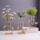 thumbnail image 1 of Decorar Arreglo floral artificial de 1 pieza con jarrón de cristal,decoración hidropónica de escritorio para mesa de comedor o sala de estar. Rkxzt, 1 of 9