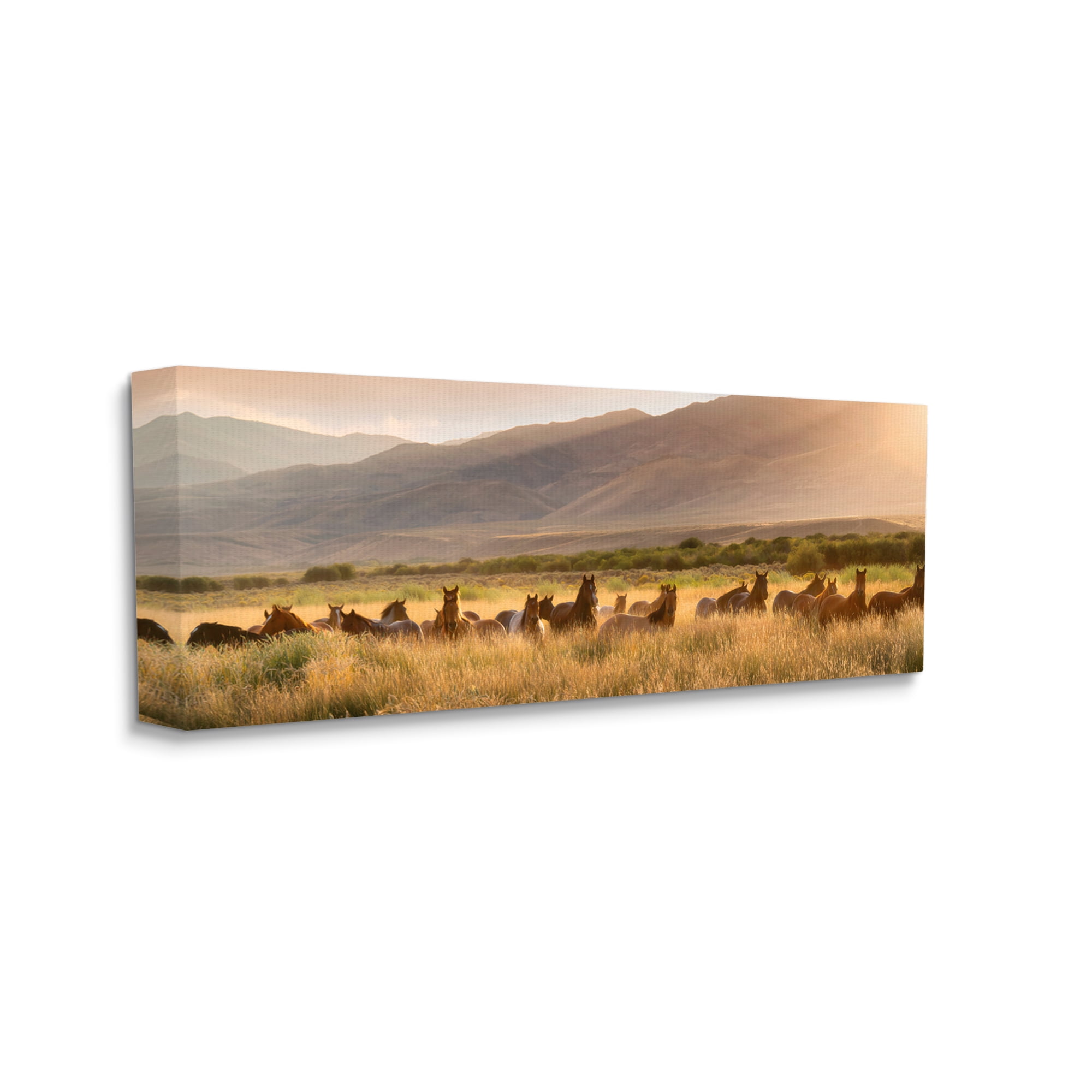 Stupell Industries Horse Herd in Mountains Landscape Photography Gallery Wrapped Canvas Art Print Wall Art, 48 x 20
