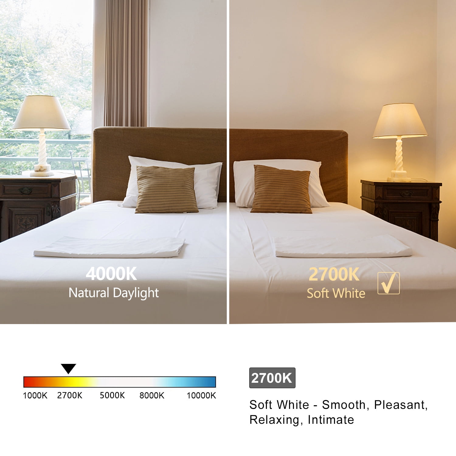 Austin Coast 12-Pack ST58 LED Bulbs, 6W (60W Equivalent), Warm White 2700K, E26 Base, Dimmable, 800 Lumens, Shatterproof