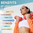 thumbnail image 3 of Suplemento Totaria de urolitina A de 1000 mg con NAD y CoQ10 para mujeres, 3 of 9