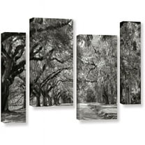 ArtWall Steve Ainsworth "Live Oak Avenue" 4 Piece Gallery-Wrapped Canvas Staggered Set