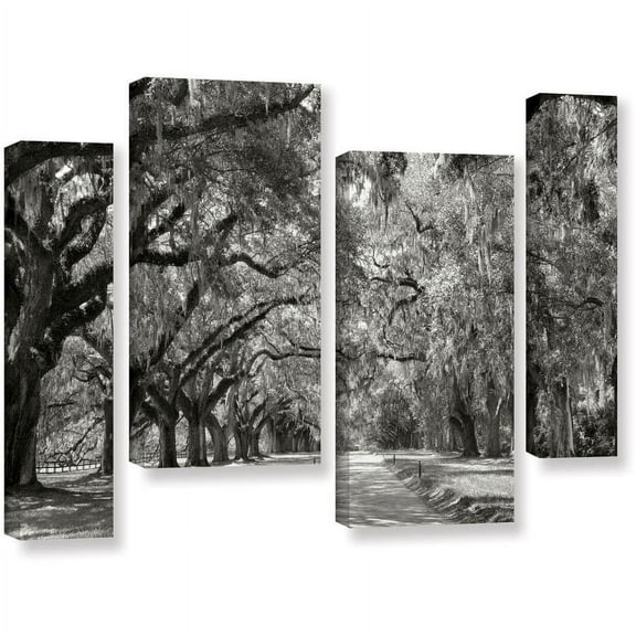 ArtWall Steve Ainsworth "Live Oak Avenue" 4 Piece Gallery-Wrapped Canvas Staggered Set