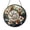 Acrylic 3.5 Inch, variant on Ocean Inspired Seashell Glass Window Ornament, Decorative Light Catching Hanging Art, Coastal Style Glass Decor for Bright Window Display and Home Interior