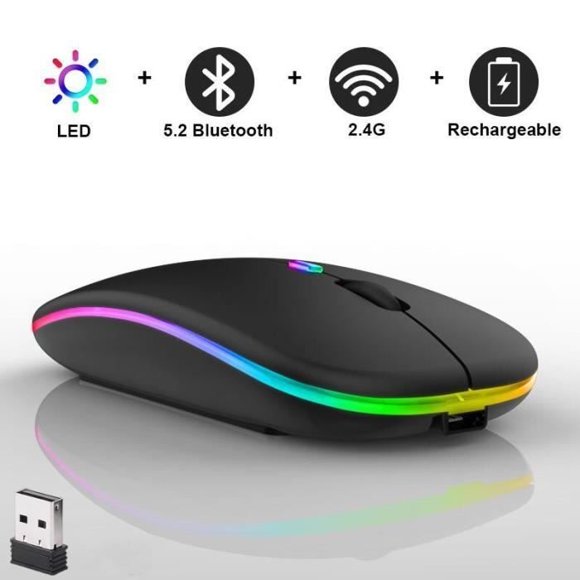 Souris Sans Fil - LECOO - Bluetooth et 2.4 GHz - Silencieuse - Ergonomique - Rechargeable - 7 Couleurs LED