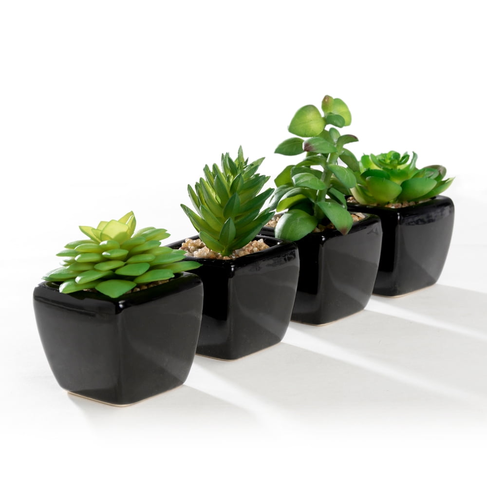 K-Cliffs Set of 4 Mini Artificial Succulents Potted in Cube-Shape Black Ceramic Pots , Dimensions(in inches):  11.0L x 3.0W x 4.3H"