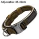 thumbnail image 2 of FloreceBien Collar para perro Classic Comfort Collar para perro acolchado de neopreno de nailon de alta calidad para tamaño pequeño, 2 of 5