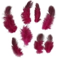 thumbnail image 2 of Pack of 300 decorative feathers guinea fowl feathers for DIY craft decoration Easter Christmas decorative figure, 2 of 7