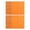 Orange, variant on Pack of 50 Premium Polishing Cloth Silver Tarnish Remover Cloth Suitable for Oxidation Removal from Silver Items