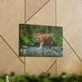 thumbnail image 6 of Tiger Hunting Tiger on Hunt Print Animal Wall Art Wildlife Canvas Prints Wall Art Ready to Hang Unframed, 6 of 18