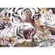 thumbnail image 1 of Pintura de diamante (DE4603) tigres 5D DIY resina punto de cruz arte Kit bordado mosaico 20X30cm Hugtrwg Para estrenar, 1 of 1